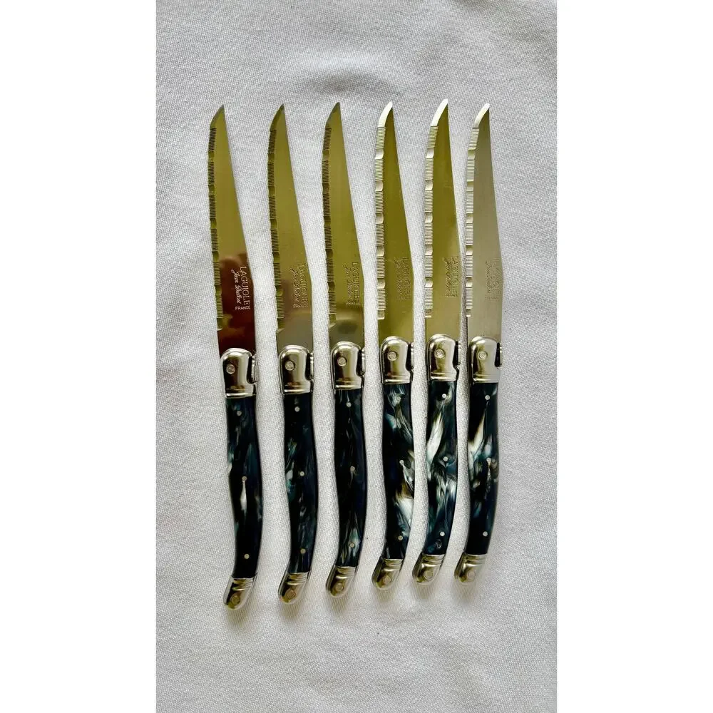 French Modern Laguiole  Stainless Steel Charcoal Gray Resin Steak Knives Set  6